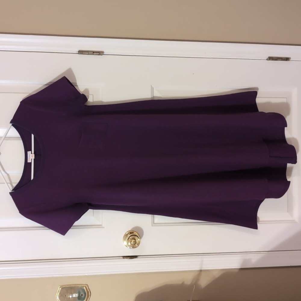 Lularoe Carly size XS swing dress in eggplant